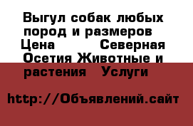 Выгул собак любых пород и размеров › Цена ­ 150 - Северная Осетия Животные и растения » Услуги   